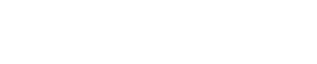 Sany Logo